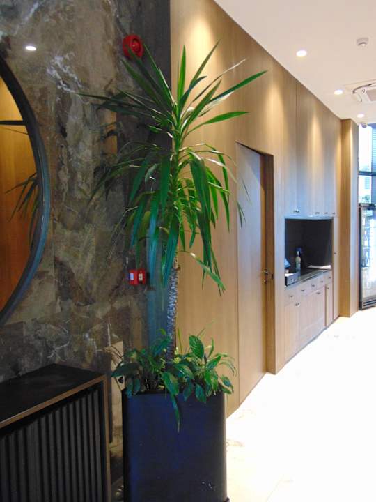 Lobby Hotel Elisa Tirana, Affiliated by Meliá