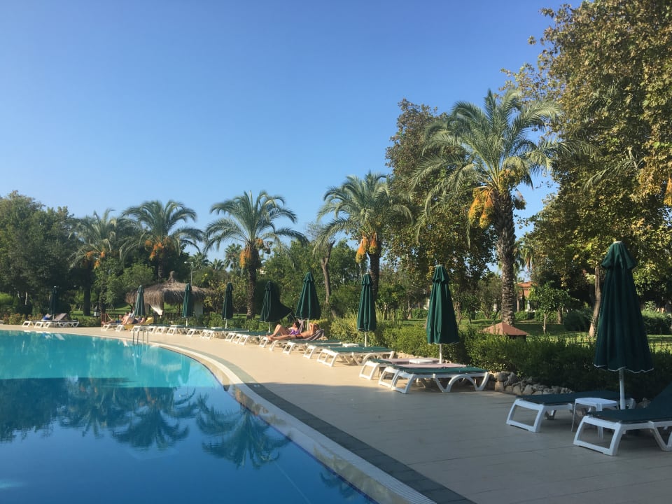 Pool IC Hotels Green Palace