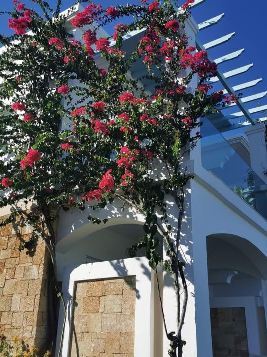 Außenansicht Atrium Palace Thalasso Spa Resort & Villas