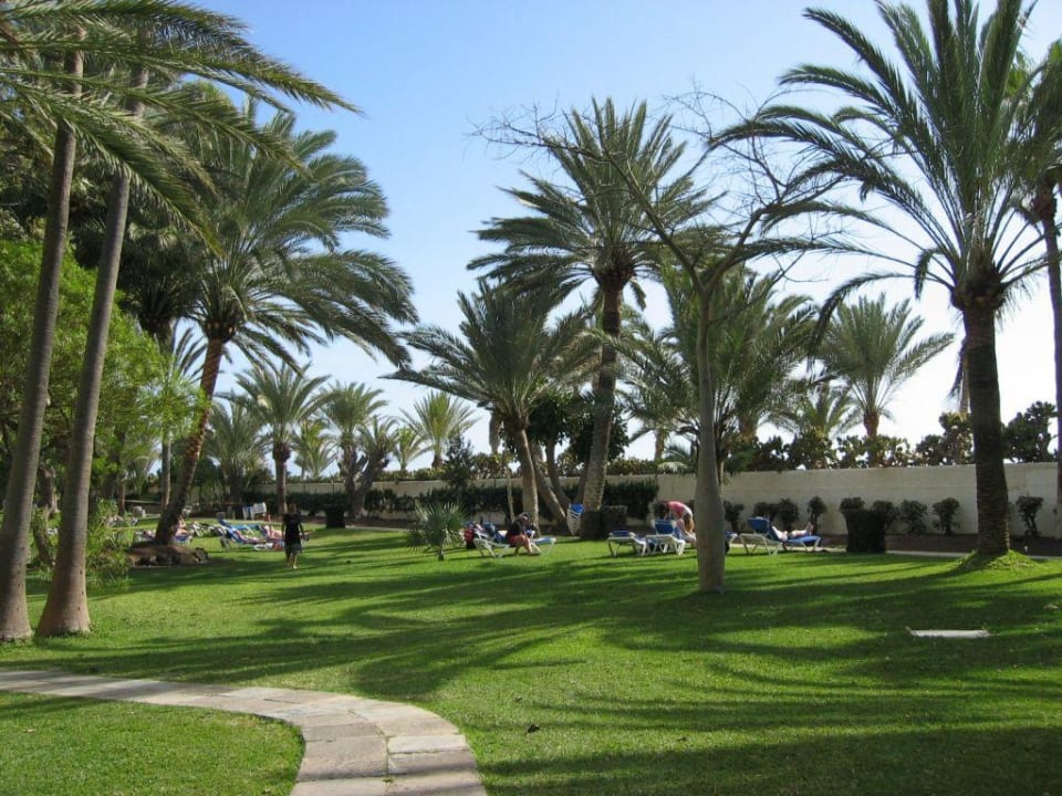 Garten mit Liegewiese ROBINSON JANDIA PLAYA