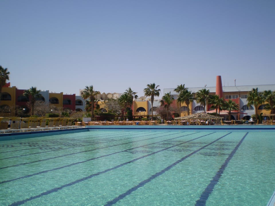 Der große Pool Arabia Azur Resort