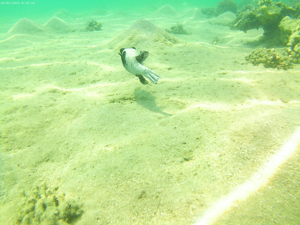 Sport & Freizeit Cleopatra Luxury Resort Makadi Bay