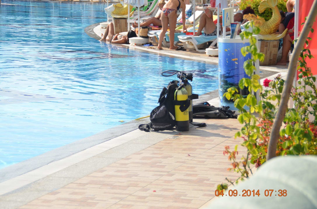 Pool Hotel Delphin Imperial