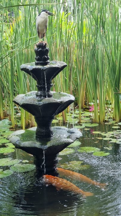 Gartenanlage Nusa Dua Beach Hotel & Spa