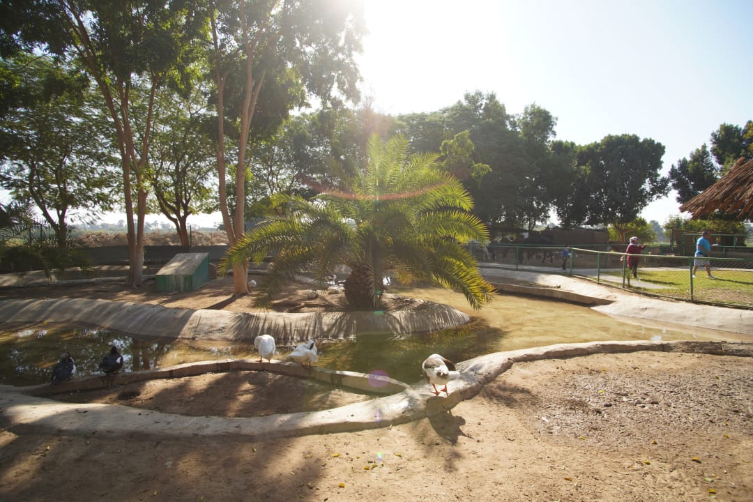 Gartenanlage Jolie Ville Kings Island Luxor