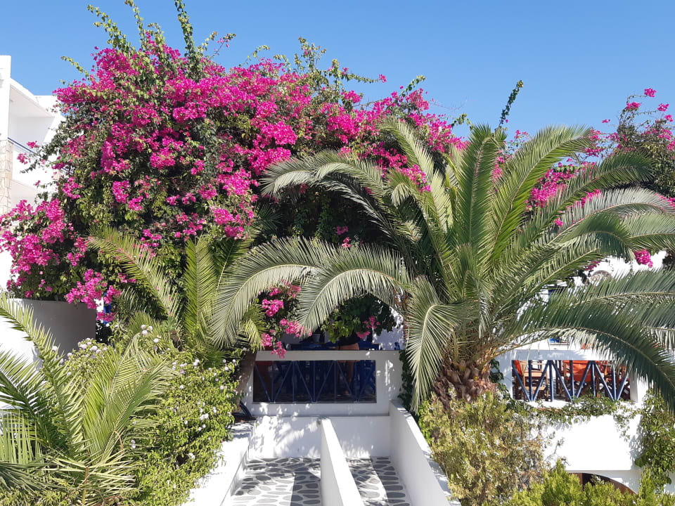 Gartenanlage Ekaterini Hotel