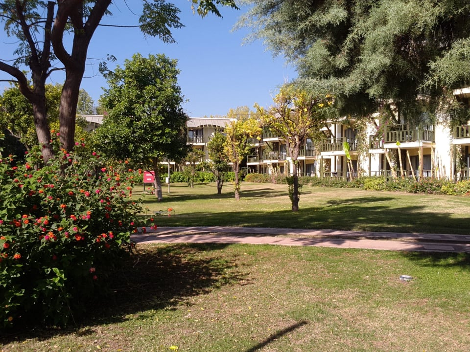 Apfelsinen im Reifeprozess Limak Limra Hotel & Resort