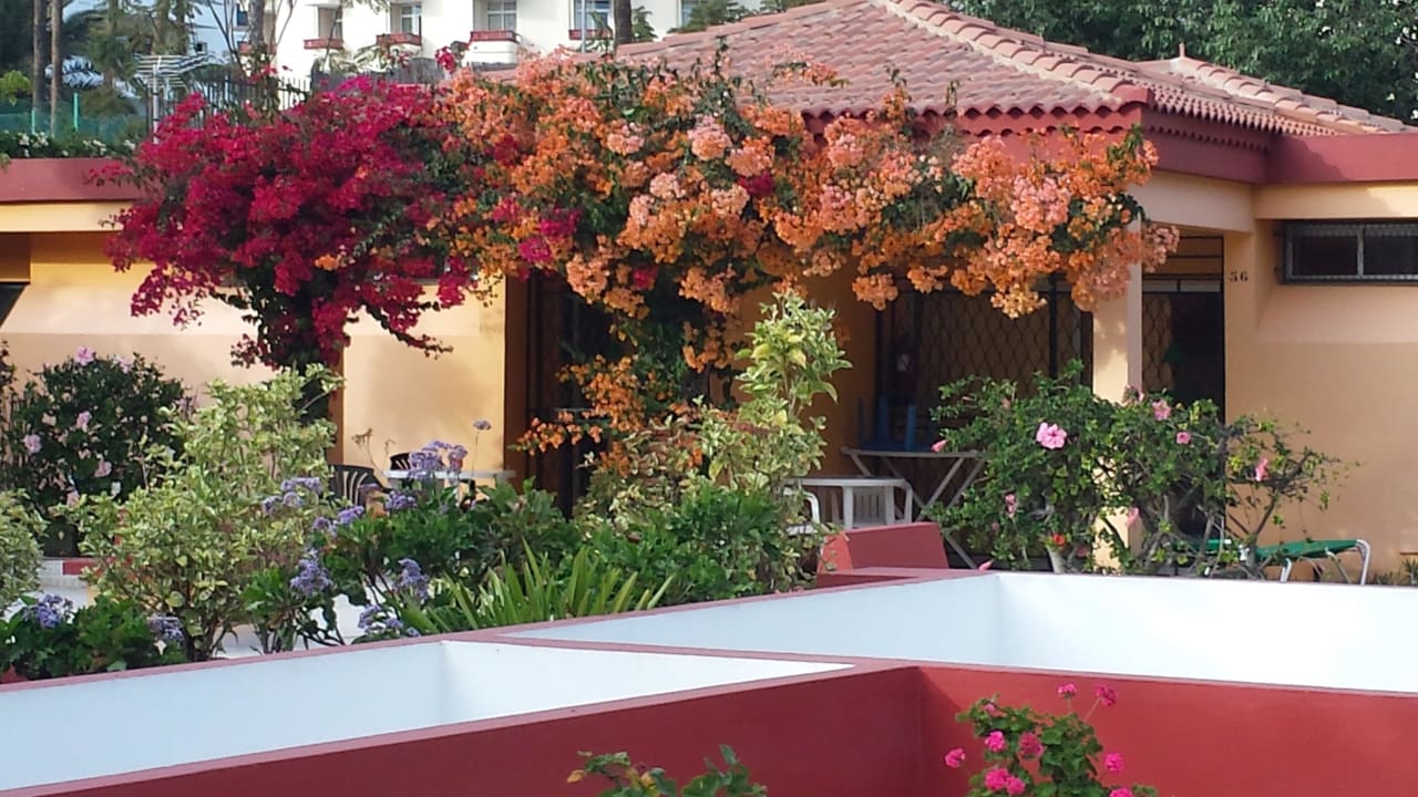 Wenn mam reinkommt Artemisa Gay Bungalows