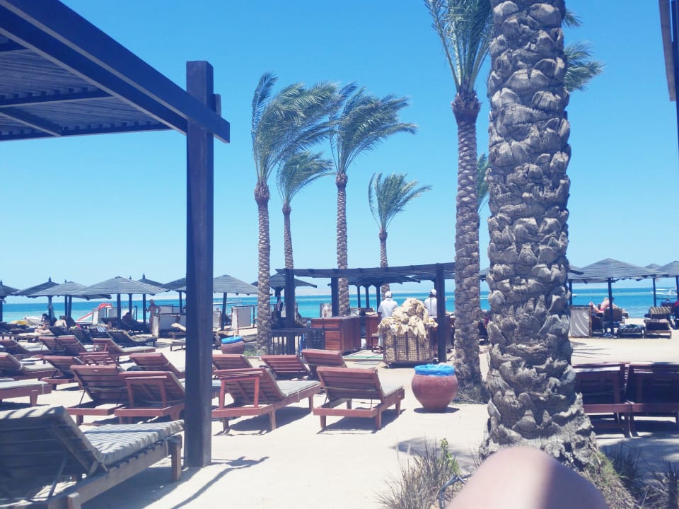 Strand, Palmen Steigenberger Aqua Magic