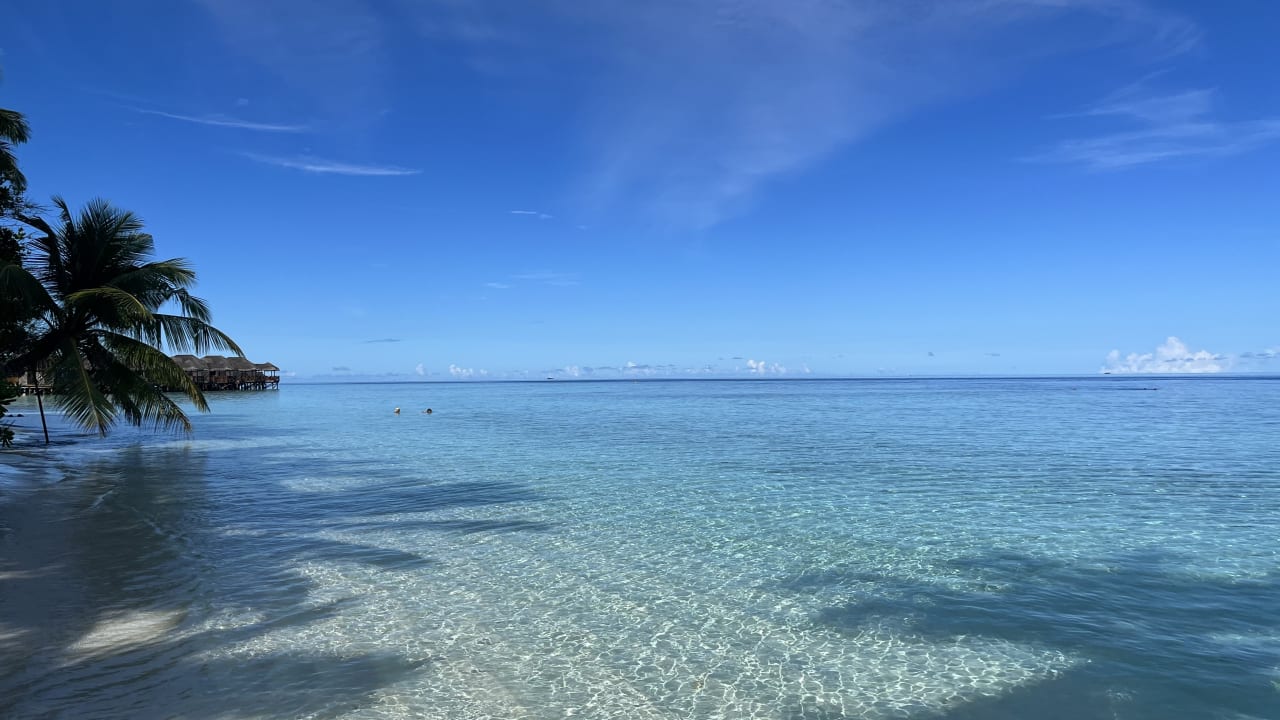 Ausblick Fihalhohi Maldives