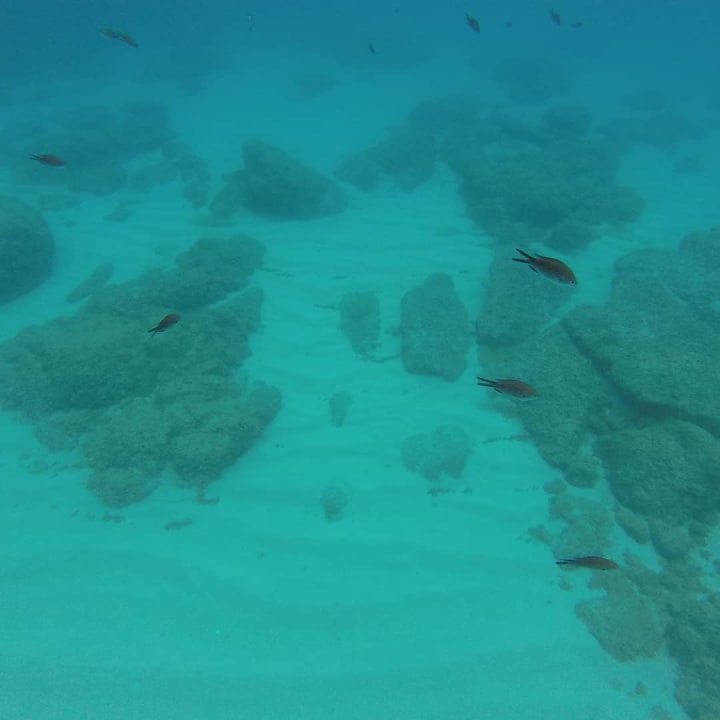 Strand Hotel Villaggio Il Gabbiano