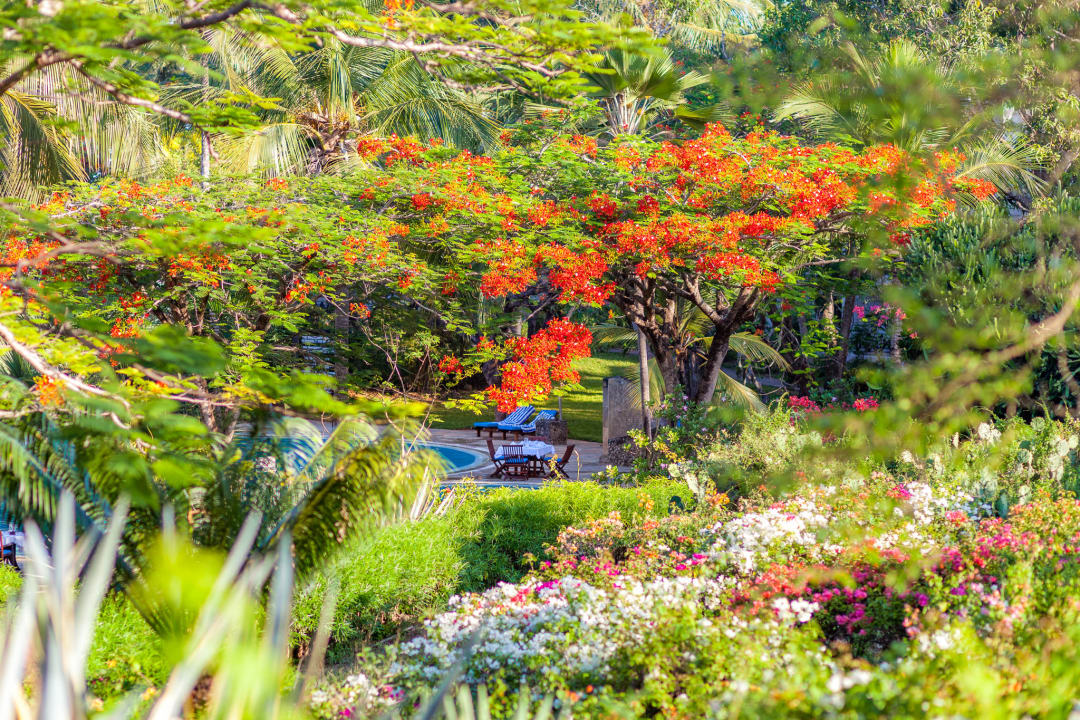 Gartenanlage Diani Sea Resort