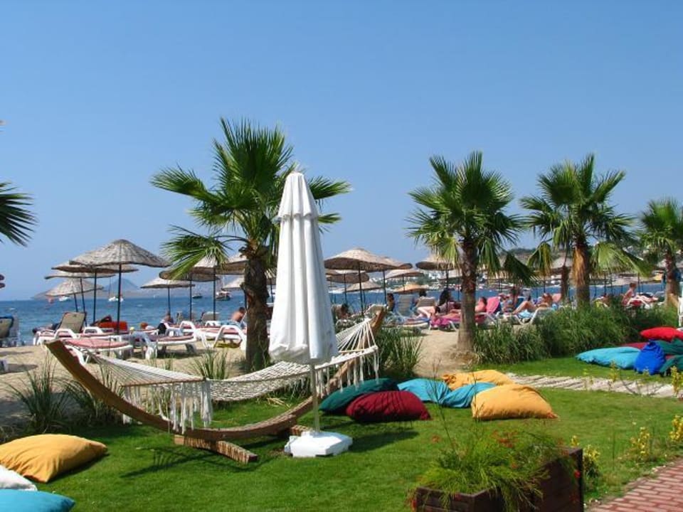 Plaża z której mogą korzystać goście Art Bodrum Riva Bodrum Resort