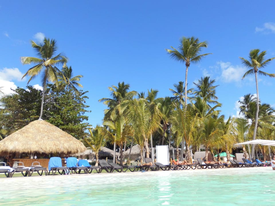 Pool Hotel Viva Dominicus Palace by Wyndham-All Inclusive Resort