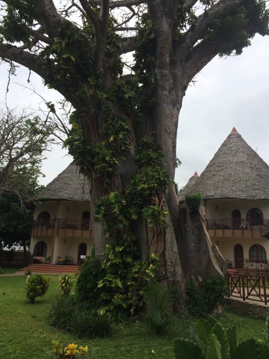 Gartenanlage Neptune Paradise Beach Resort & Spa