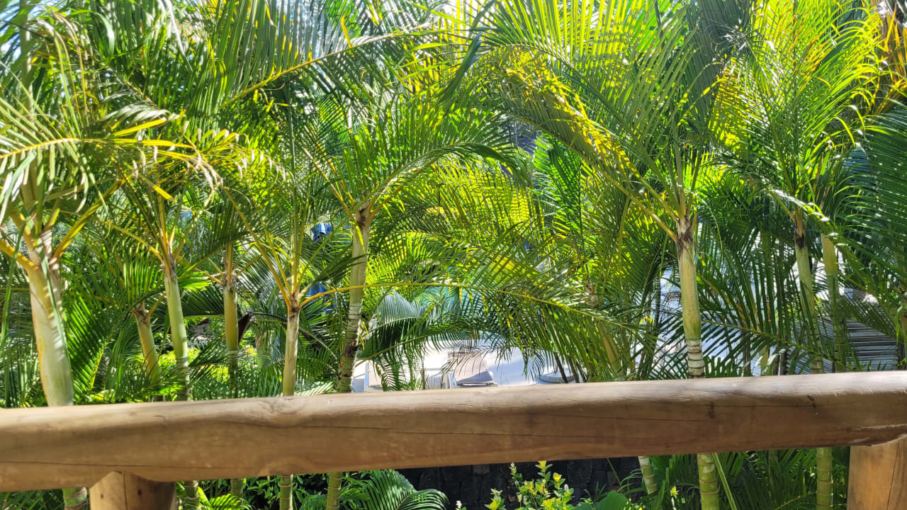 Zimmer Lagoon Attitude - Adults only