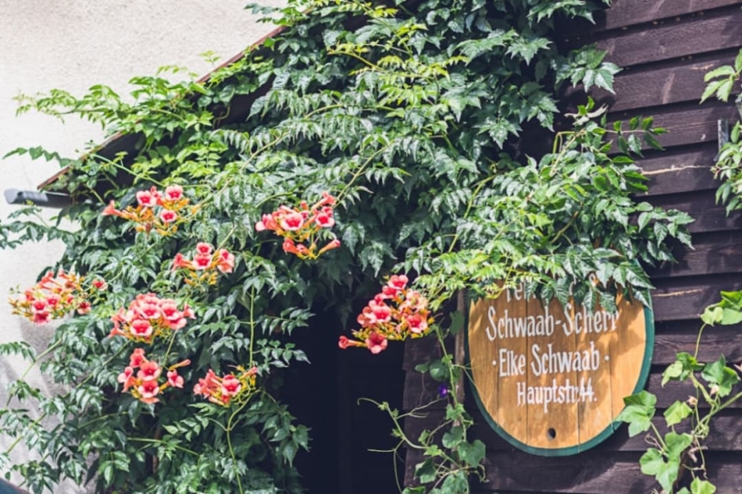 Außenansicht Ferienhaus Schwaab-Scherr