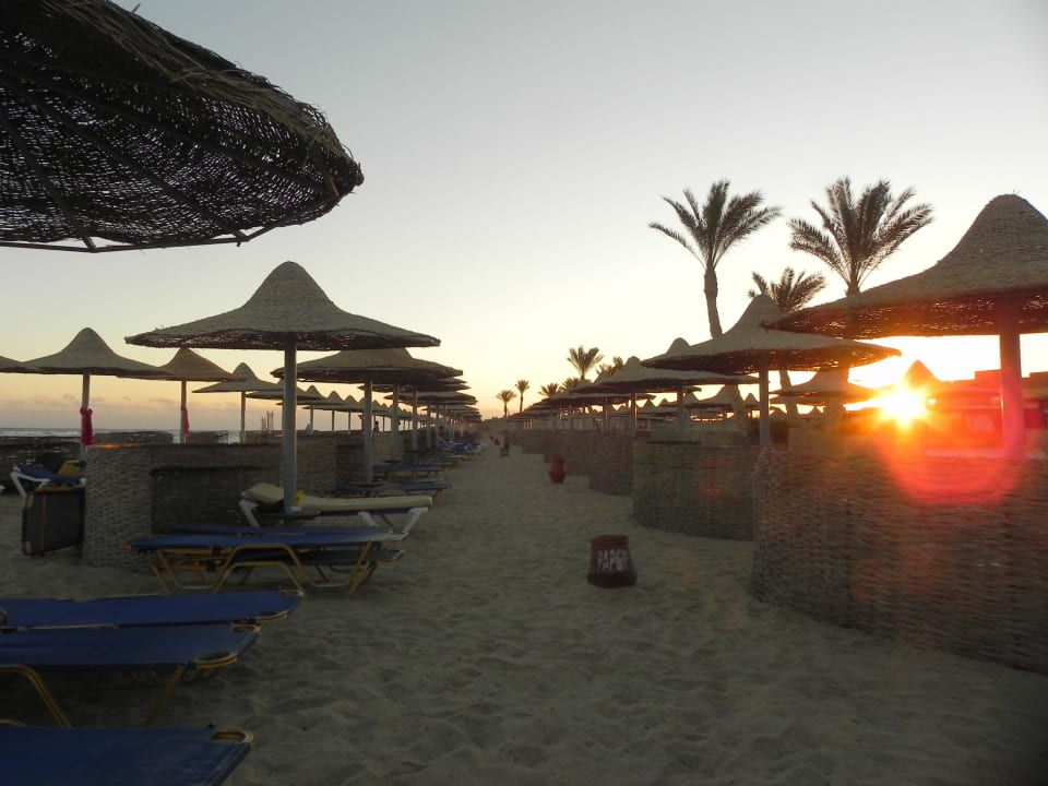 Lehátek dostatek,pozvolný vstup do moře Malikia Resort Abu Dabbab