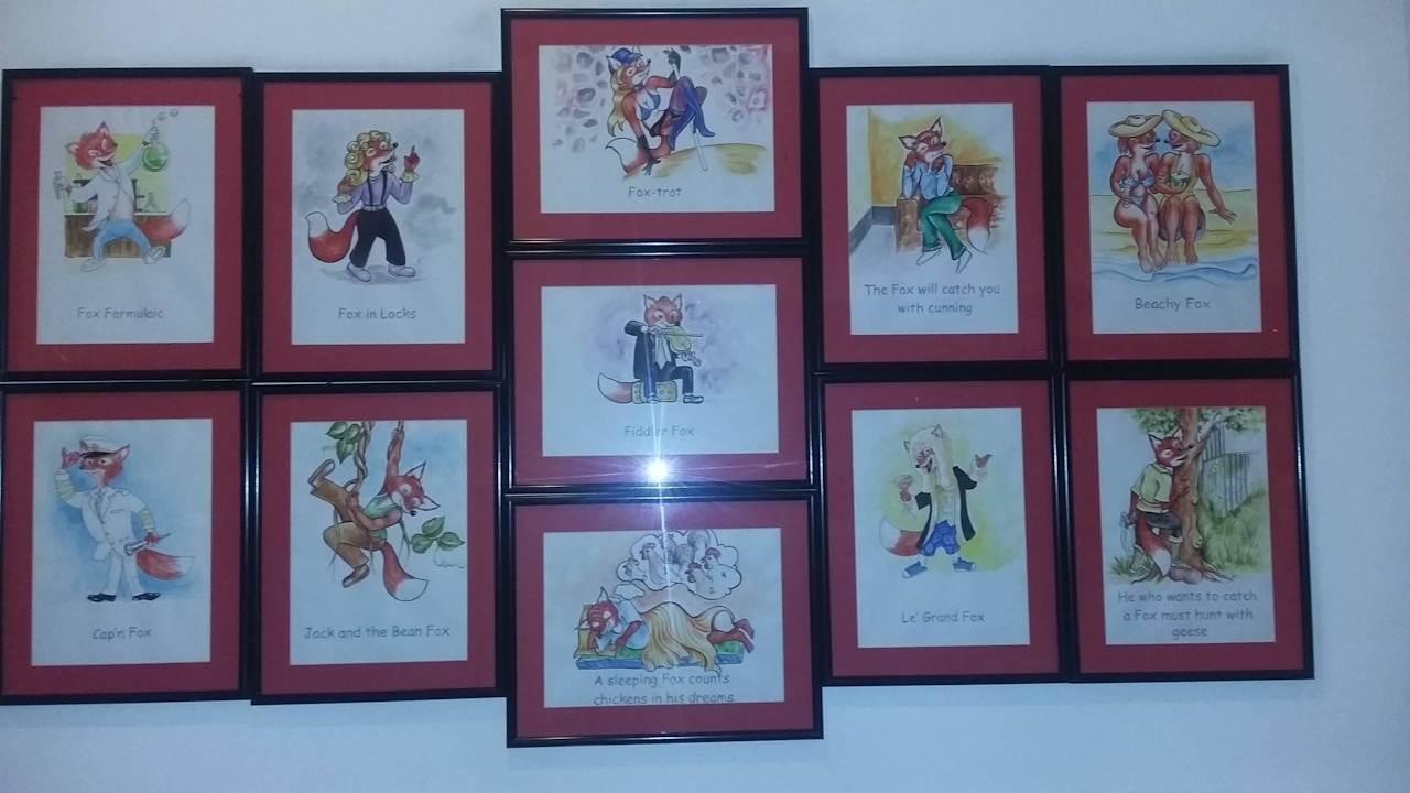 Przygody Red Foxa Hotel Red Fox - Jaipur