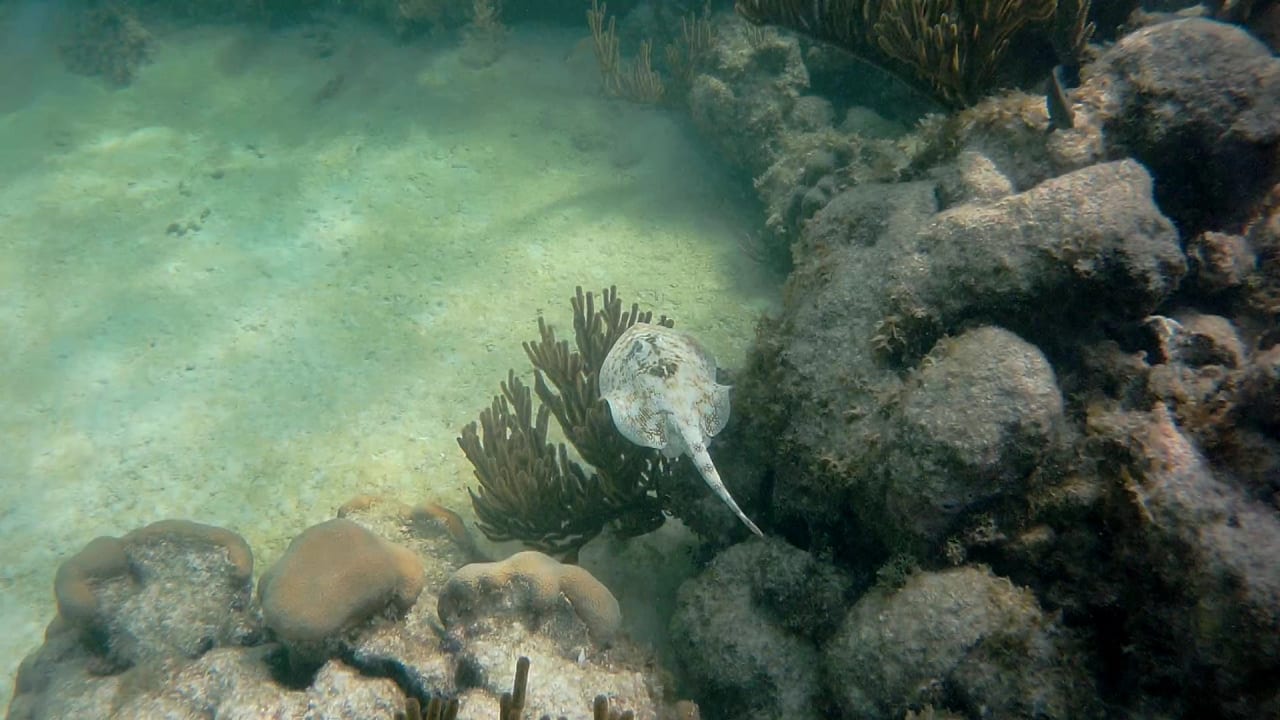 Sport & Freizeit Akumal Bay Beach & Wellness Resort