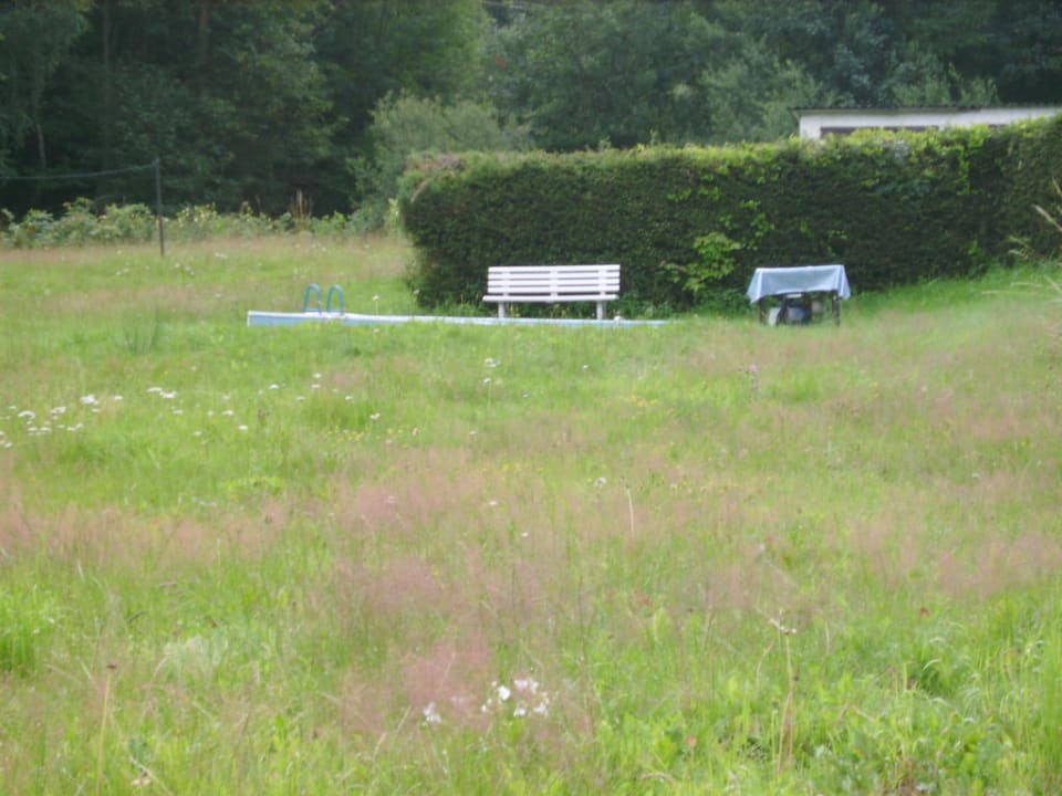 Fertigteilpool im halbmeterhohen Gras Berghotel Mellenbach