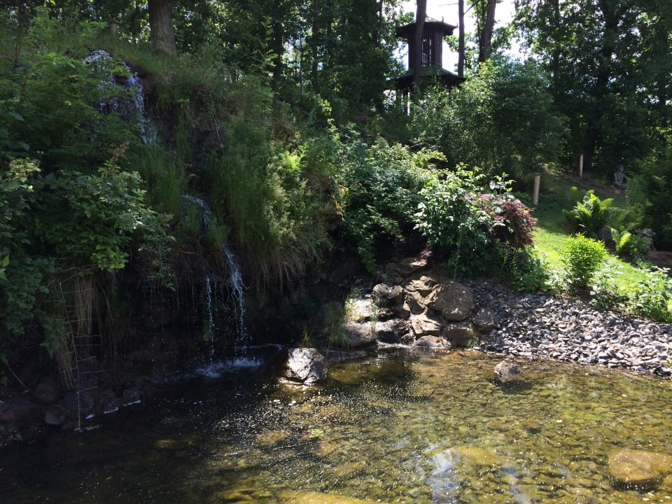 Gartenanlage Spirit & SPA Hotel Birkenhof am Elfenhain