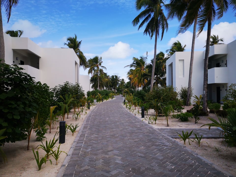 Gartenanlage Hotel Riu Atoll