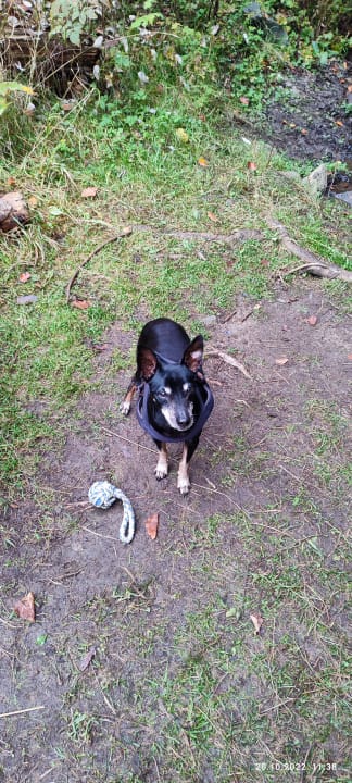 Ausblick Berghotel Hoher Knochen