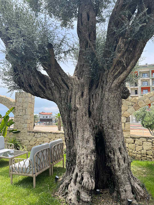 Außenansicht Dream Fun World