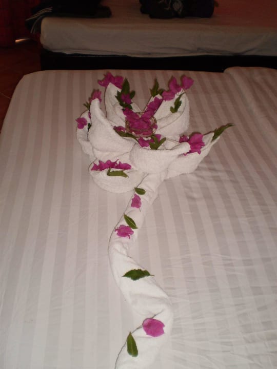 Hotel The Three Corners Sea Beach Resort Three Corners Sea Beach Resort