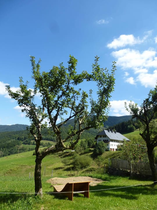 Relaxliege, wo man einen wunderbaren Ausblick hat Bauernhof Bernhardenhof