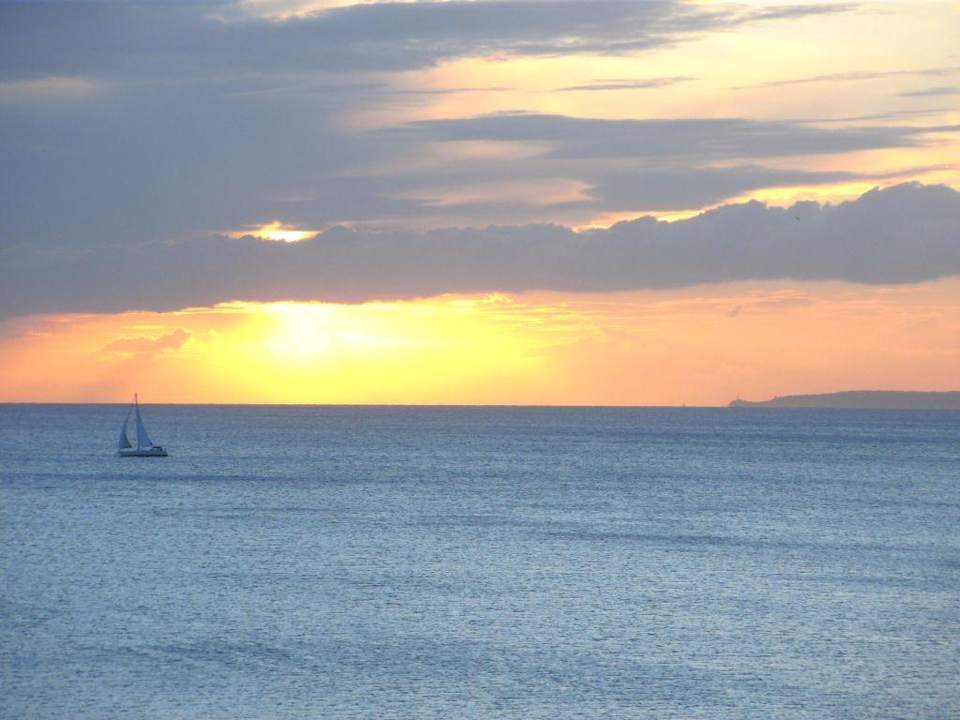 Royal Cupido Blick vom Balkon Iberostar Waves Bahia de Palma