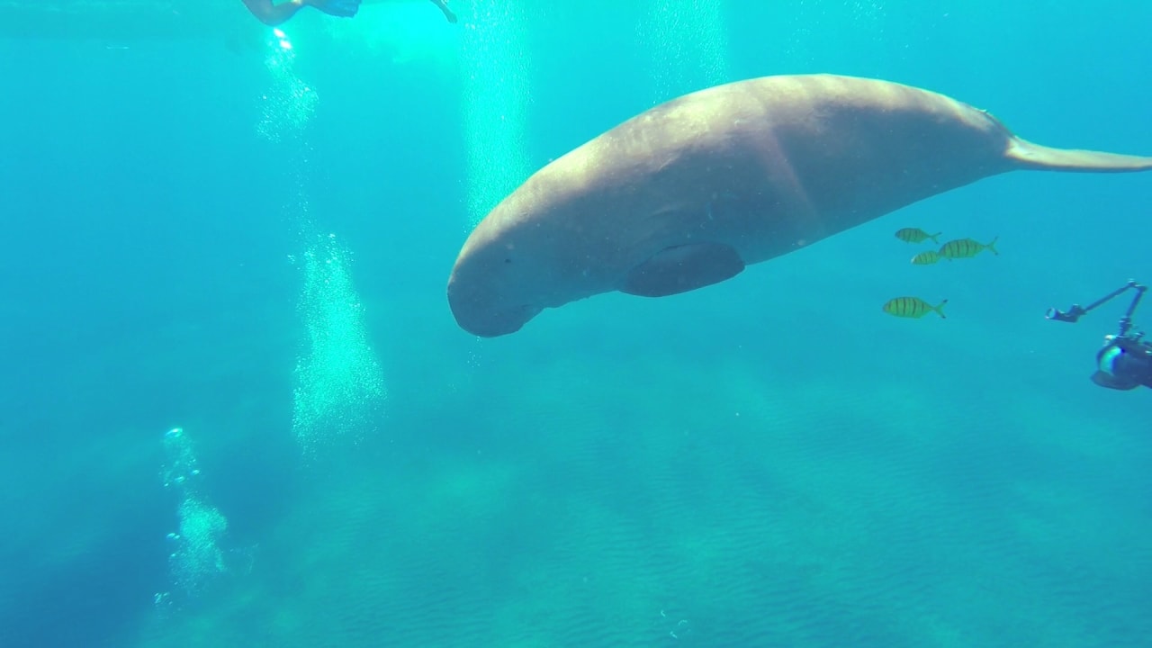 Sport & Freizeit Malikia Resort Abu Dabbab