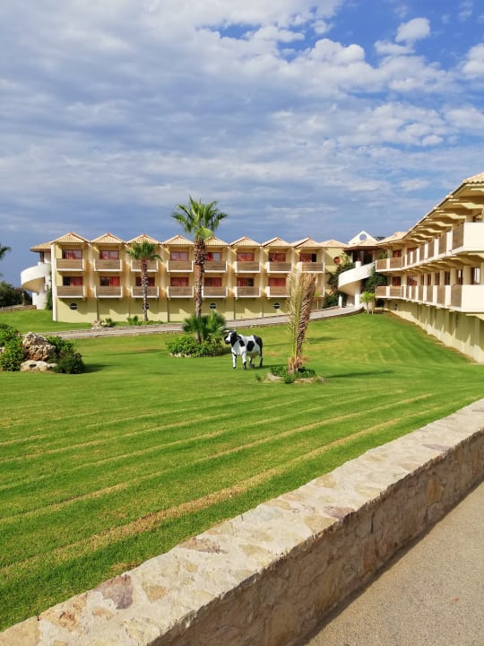 Außenansicht Hotel Kalithea Horizon Royal