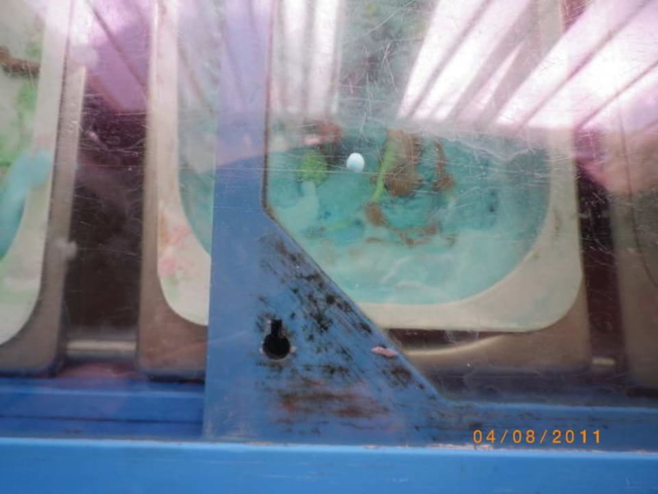 Eistruhe für Kinder Sun Palace