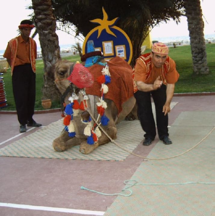 Türkischer Abend Labranda Alantur Resort