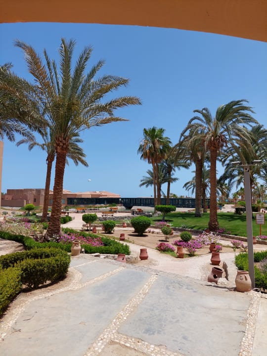 Gartenanlage Club Paradisio El Gouna, Red Sea