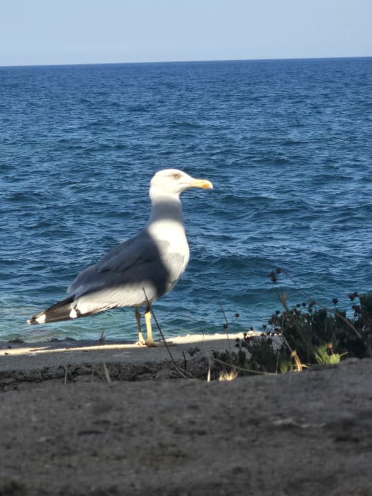 Strand Le Bleu Hotel & Resort