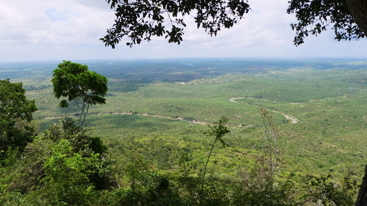 Ausblick Shimba Hills Green Safari Lodge