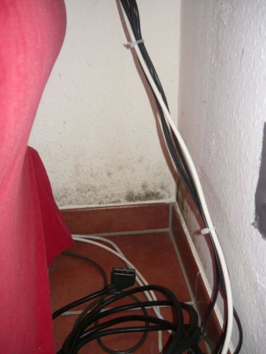 Schimmel- Wohnzimmer Ferienparadies Klingberg