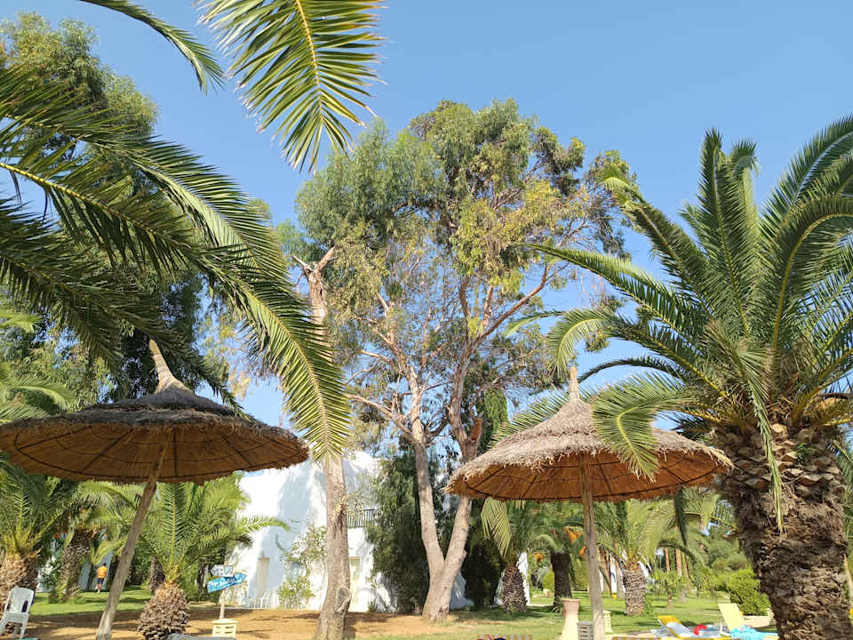 Außenansicht Shalimar Hammamet