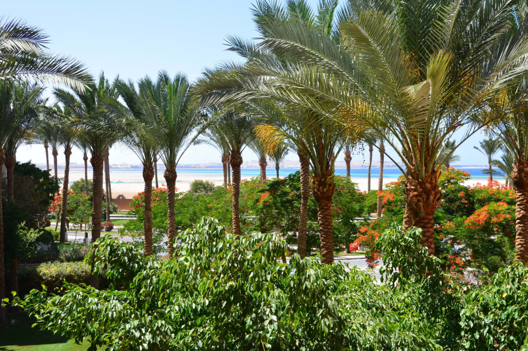 Aussicht aus unserem Zimmer Grand Makadi