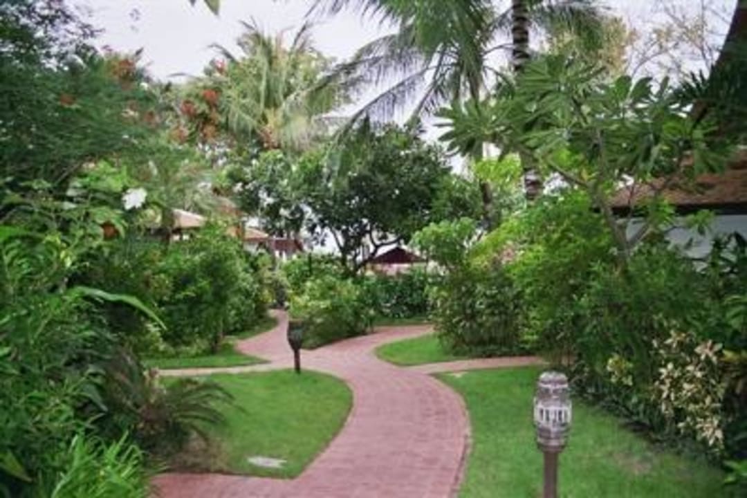 Viele kleine Wege... Anavana Beach Resort