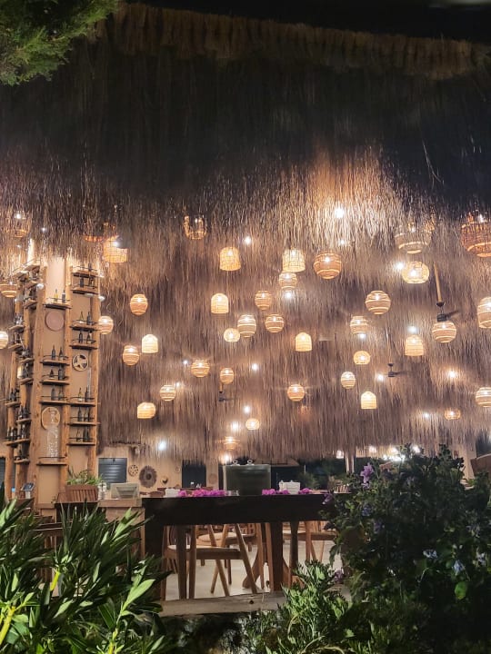 Gastro Liberty Lykia Adults Only