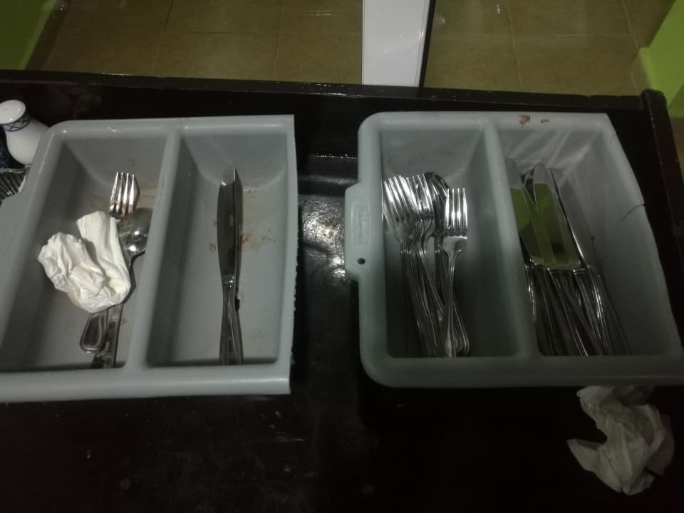 Gastro Starfish Cayo Guillermo