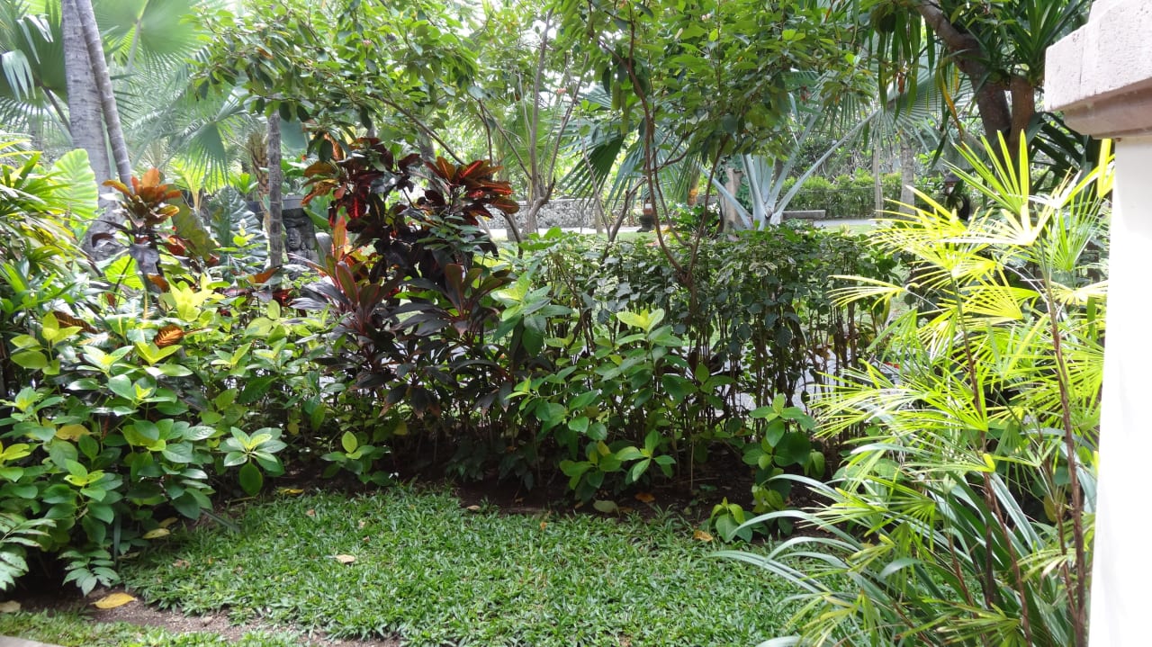 Wunderschöne Terrasse Padma Resort Legian