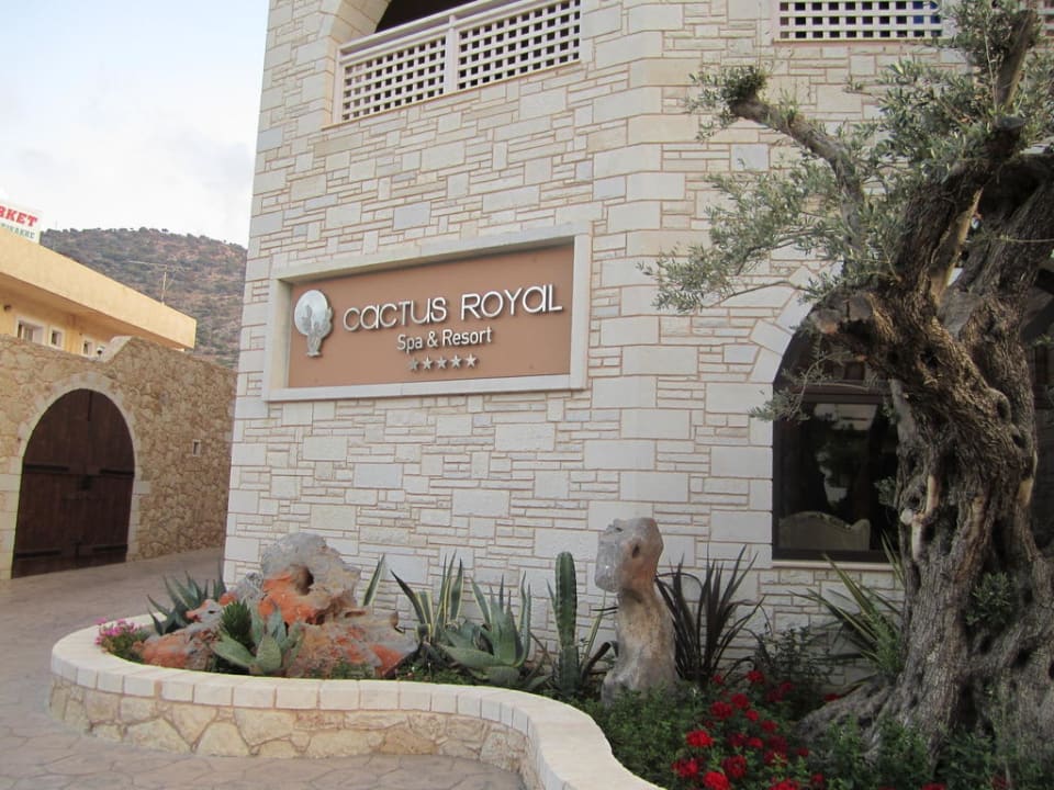 Eingang des Hotels Cactus Royal