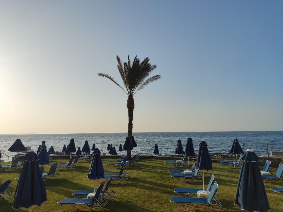 Gartenanlage allsun Hotel Malia Beach