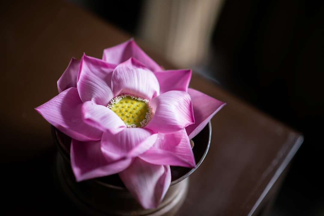 Sonstiges Sokkhak Boutique Resort