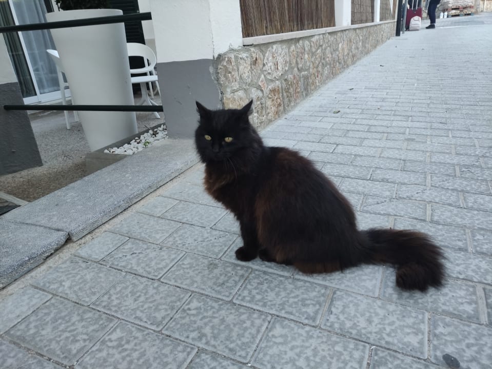 Sonstiges Hotel Marina & Wellness SPA